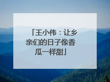 王小伟：让乡亲们的日子像香瓜一样甜
