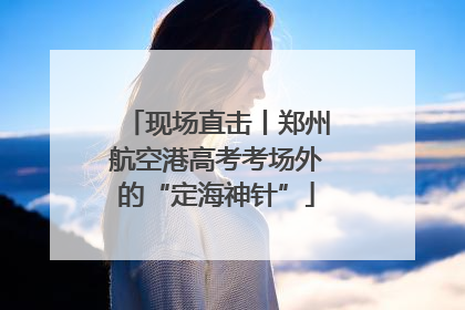 现场直击丨郑州航空港高考考场外的“定海神针”