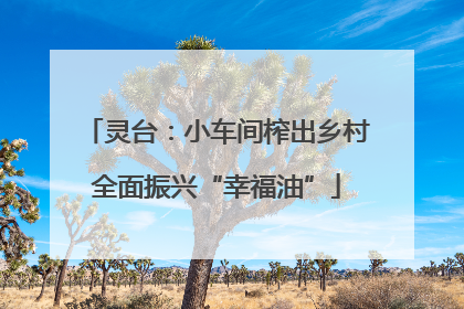 灵台：小车间榨出乡村全面振兴“幸福油”