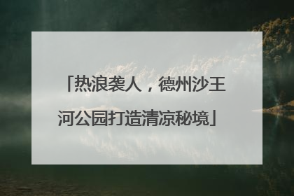 热浪袭人，德州沙王河公园打造清凉秘境