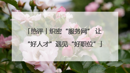 热评丨织密“服务网” 让“好人才”遇见“好职位”