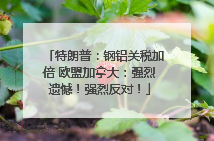 特朗普：钢铝关税加倍 欧盟加拿大：强烈遗憾！强烈反对！