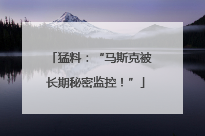 猛料：“马斯克被长期秘密监控！”