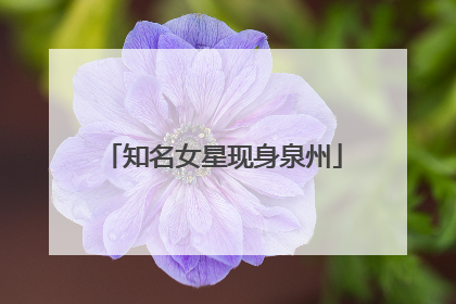 知名女星现身泉州
