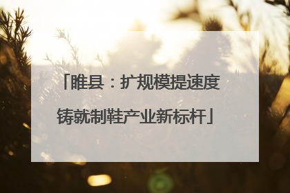 睢县：扩规模提速度 铸就制鞋产业新标杆