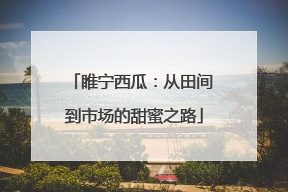 睢宁西瓜：从田间到市场的甜蜜之路