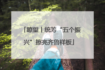 瞭望丨统筹“五个振兴”擦亮齐鲁样板
