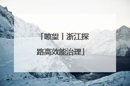 瞭望丨浙江探路高效能治理