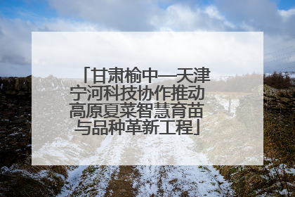甘肃榆中—天津宁河科技协作推动高原夏菜智慧育苗与品种革新工程