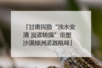 甘肃民勤“浊水变清 漫灌转滴”重塑沙漠绿洲灌溉格局