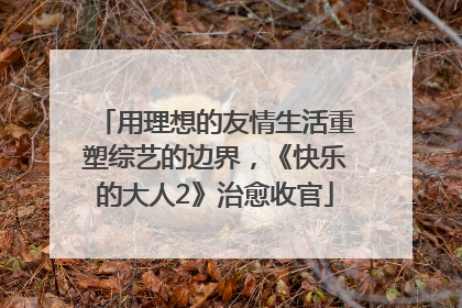 用理想的友情生活重塑综艺的边界，《快乐的大人2》治愈收官