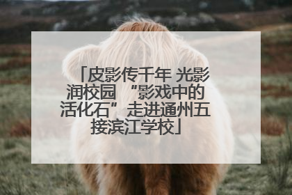 皮影传千年 光影润校园 “影戏中的活化石”走进通州五接滨江学校