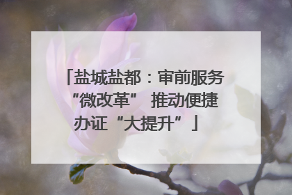 盐城盐都：审前服务“微改革” 推动便捷办证“大提升”