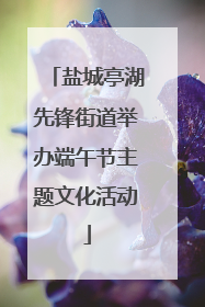 盐城亭湖先锋街道举办端午节主题文化活动