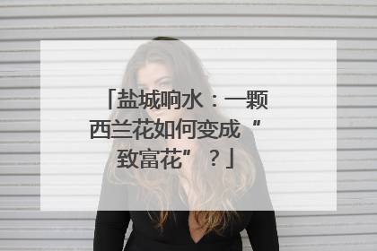 盐城响水：一颗西兰花如何变成“致富花”？