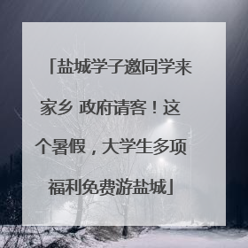 盐城学子邀同学来家乡 政府请客！这个暑假，大学生多项福利免费游盐城