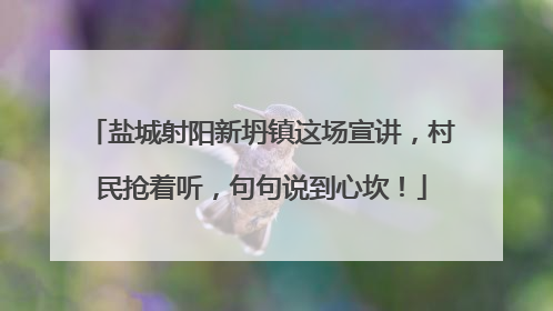 盐城射阳新坍镇这场宣讲，村民抢着听，句句说到心坎！