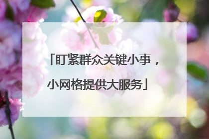盯紧群众关键小事，小网格提供大服务