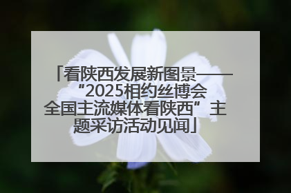 看陕西发展新图景——“2025相约丝博会 全国主流媒体看陕西”主题采访活动见闻