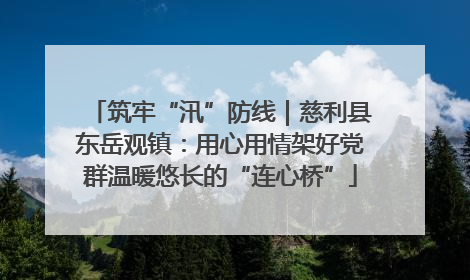 筑牢“汛”防线｜慈利县东岳观镇：用心用情架好党群温暖悠长的“连心桥”