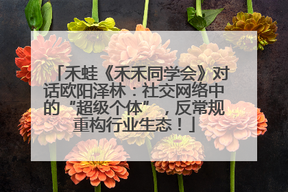 禾蛙《禾禾同学会》对话欧阳泽林：社交网络中的“超级个体”，反常规重构行业生态！