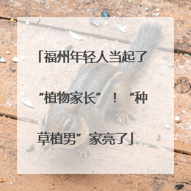 福州年轻人当起了“植物家长”！“种草植男”家亮了