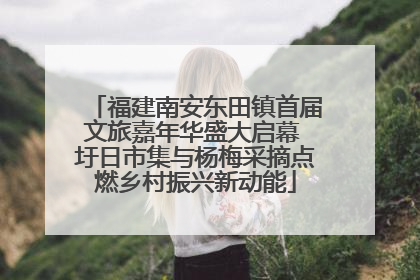 福建南安东田镇首届文旅嘉年华盛大启幕 圩日市集与杨梅采摘点燃乡村振兴新动能