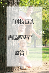 科技巨头需适应更严监管