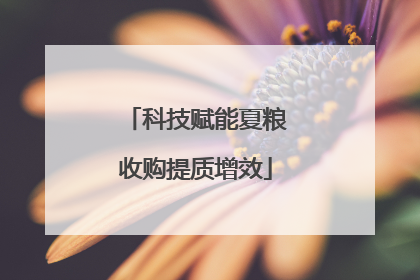 科技赋能夏粮收购提质增效