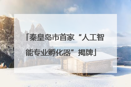 秦皇岛市首家“人工智能专业孵化器”揭牌