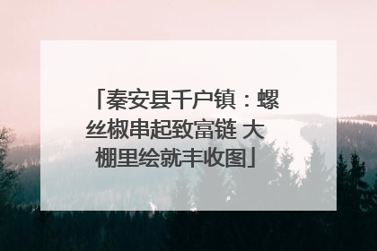 秦安县千户镇：螺丝椒串起致富链 大棚里绘就丰收图