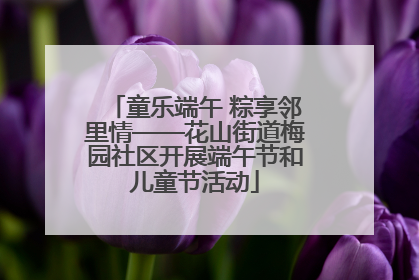 童乐端午 粽享邻里情——花山街道梅园社区开展端午节和儿童节活动