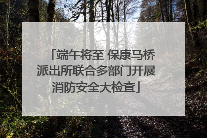 端午将至 保康马桥派出所联合多部门开展消防安全大检查