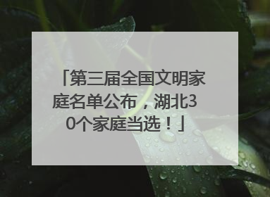 第三届全国文明家庭名单公布，湖北30个家庭当选！