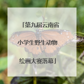 第九届云南省小学生野生动物绘画大赛落幕
