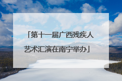 第十一届广西残疾人艺术汇演在南宁举办