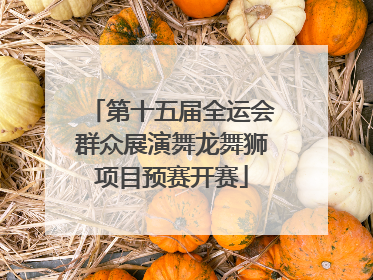 第十五届全运会群众展演舞龙舞狮项目预赛开赛