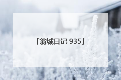 翁城日记 935