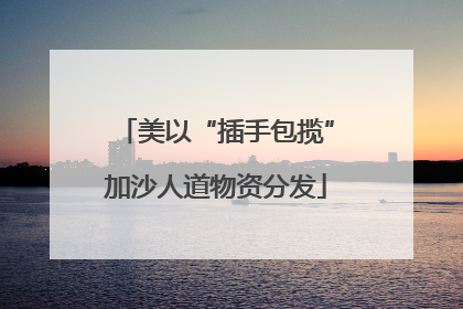 美以“插手包揽”加沙人道物资分发