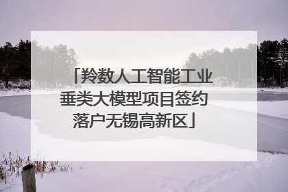 羚数人工智能工业垂类大模型项目签约落户无锡高新区