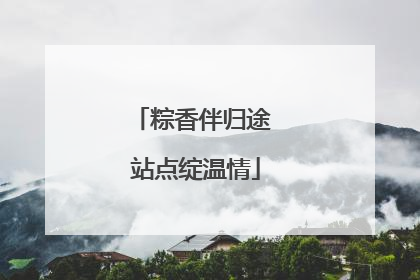 粽香伴归途 站点绽温情