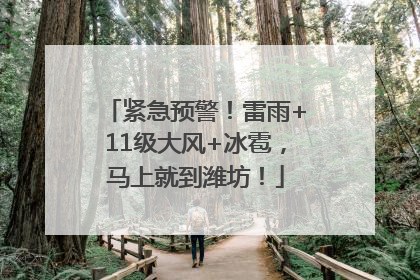 紧急预警！雷雨+11级大风+冰雹，马上就到潍坊！