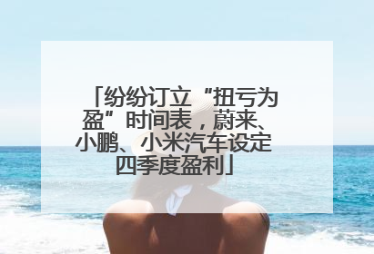 纷纷订立“扭亏为盈”时间表，蔚来、小鹏、小米汽车设定四季度盈利