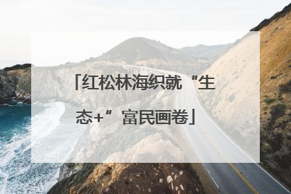 红松林海织就“生态+”富民画卷