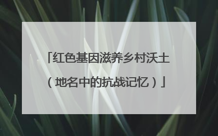 红色基因滋养乡村沃土（地名中的抗战记忆）