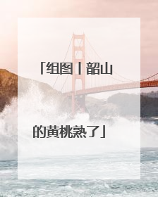 组图丨韶山的黄桃熟了