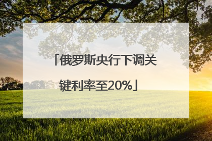 俄罗斯央行下调关键利率至20%