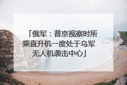 俄军：普京视察时所乘直升机一度处于乌军无人机袭击中心