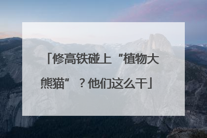 修高铁碰上“植物大熊猫”？他们这么干