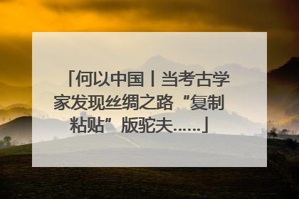 何以中国丨当考古学家发现丝绸之路“复制粘贴”版驼夫……